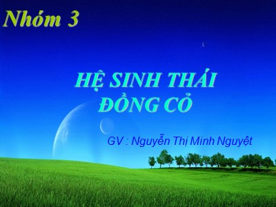 Bài giảng Hệ sinh tháiđồng cỏ