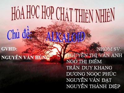 Bài giảng Hóa học hợp chất thiên nhiên - Chủ đề: Alkaloid