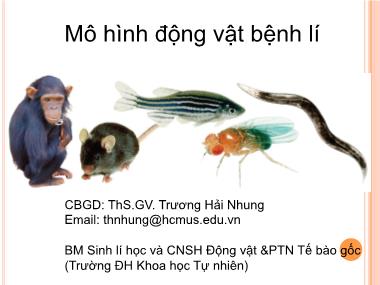 Bài giảng Mô hình động vật bệnh lí - ThS.GV. Trương Hải Nhung