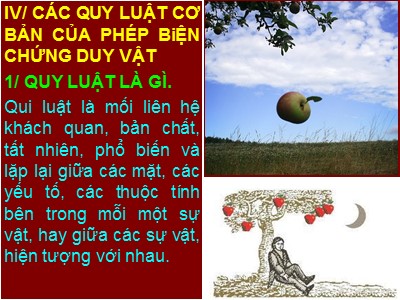 Bài giảng Những nguyên lý cơ bản của chủ nghĩa Mác-Lênin - Chương II: Phép biện chứng duy vật - TS Nguyễn Văn Ngọc (Phần 2)