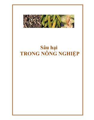 Bài giảng Sâu hại trong nông nghiệp