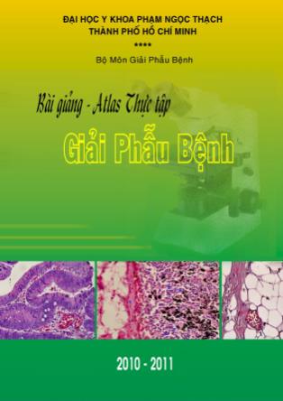 Bài giảng thực tập Giải phẫu bệnh (Phần 1)