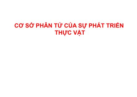 Cơ sở phân tử của sự phát triển thực vật