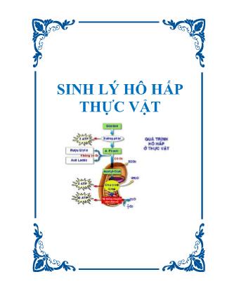 Sinh lý hô hấp thực vật