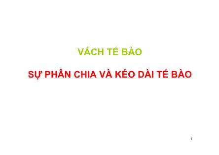 Vách tế bào sự phân chia và kéo dài tế bào