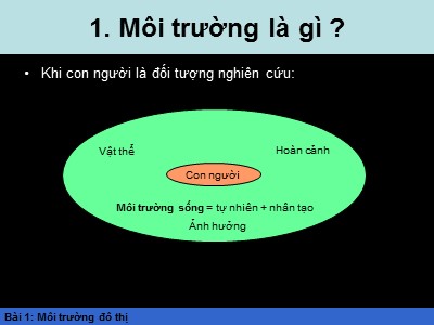 Hệ sinh thái đô thị