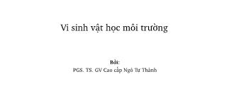 Bài giảng Vi sinh vật học môi trường - PGS. TS. Ngô Tự Thành