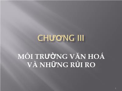 Bài giảng Quản trị rủi ro - Chương III: Môi trường văn hoá và những rủi ro