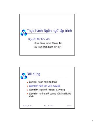 Bài giảng Thực hành Ngôn ngữ lập trình - Nguyễn Thị Trúc Viên