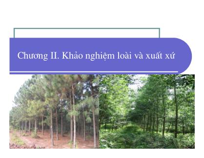 Bài giảng Giống cây rừng - Chương II: Khảo nghiệm loài và xuất xứ