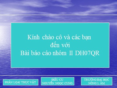 Báo cáo Họ lộc vừng