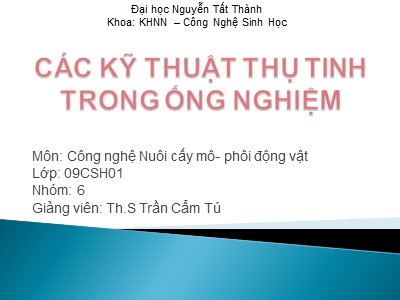 Các kỹ thuật thụ tinh trong ống nghiệm - Th.S Trần Cẩm Tú