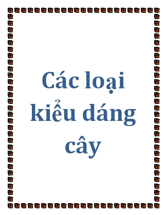 Các loại kiểu dáng cây