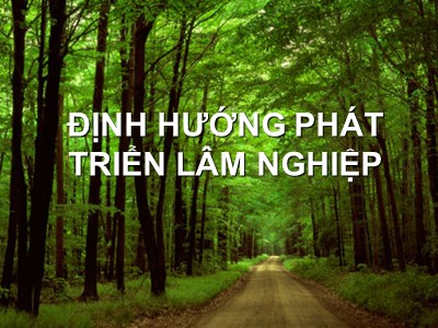 Định hướng phát triển lâm nghiệp