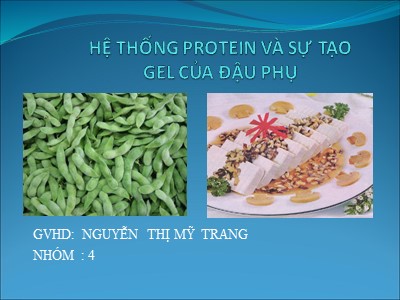 Hệ thống protein và sự tạo gel của đậu phụ