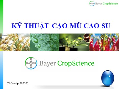 Kỹ thuật cạo mủ cao su