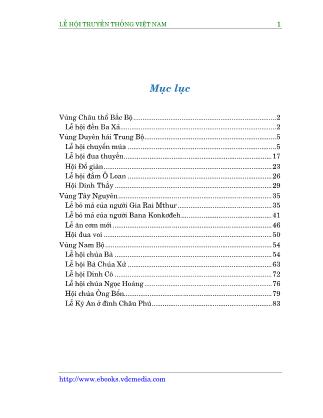 Lễ hội truyền thống Việt Nam 2