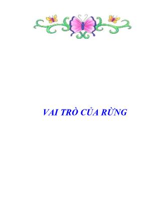 Vai trò của rừng