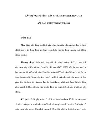 Xây dựng mô hình gây nhiễm Candida albicans âm đạo chuột nhắt trắng