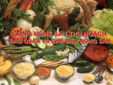 Bài giảng Công nghệ sau thu hoạch bảo quản và chế biến nông sản