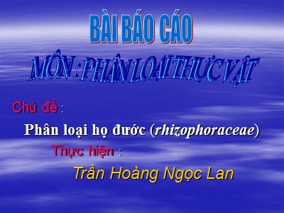 Bài Báo cáo Phân loại họ đước (rhizophoraceae)