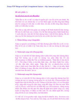 Bài giảng Bò sát (Phần 1 )