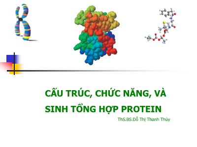 Bài giảng Cấu trúc, chức năng, và sinh tổng hợp protein - ThS.BS. Đỗ Thị Thanh Thủy