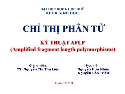 Bài giảng Chỉ thị phân tử: Kỹ thuật AFLP (Amplified fragment length polymorphisms) - TS. Nguyễn Thị Thu Liên