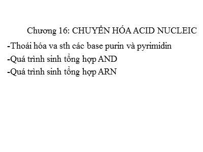 Bài giảng Chuyển hóa acid nucleic