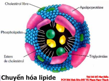 Bài giảng Chuyển hóa lipide - Đỗ Như Hiền