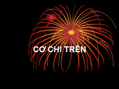 Bài giảng Cơ chi trên