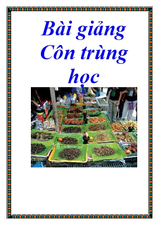 Bài giảng Côn trùng học