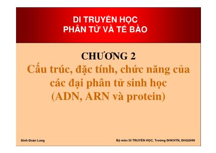 Bài giảng Di truyền học phân tử và tế bào - Chương 2: Cấu trúc, đặc tính, chức năng của các đại phân tử sinh học (ADN, ARN và Protein) - Đinh Đoàn Long