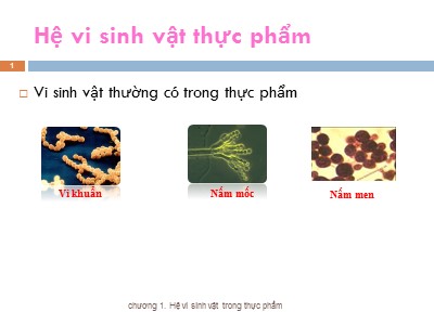 Bài giảng Hệ vi sinh vật thực phẩm
