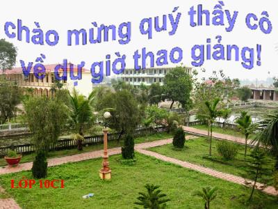 Bài giảng Hóa học - Bài 33: Axit sunfuric muối sunfat