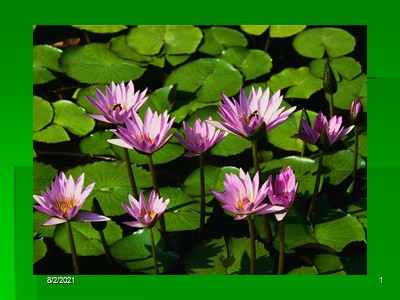 Bài giảng Kinh tế chính trị - Chương 6: Các hình thái tư bản và các hình thức biểu hiện của giá trị thặng dư