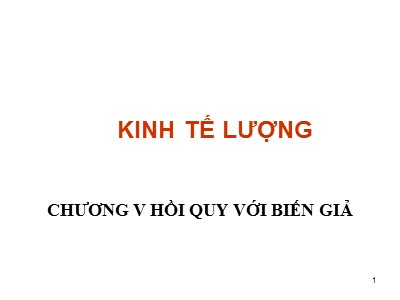 Bài giảng Kinh tế lượng - Chương V: Hồi quy với biến giả