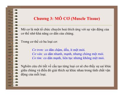 Bài giảng Mô và phôi - Chương 3: Mô cơ (Muscle Tissue)