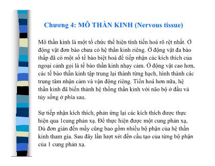 Bài giảng Mô và phôi - Chương 4: Mô thần kinh (Nervous tissue)
