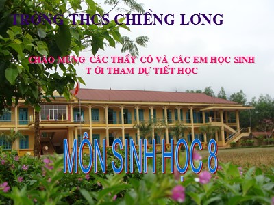 Bài giảng môn Sinh học 8 - Tiết 60: Tuyến tụy và tuyến trên thận
