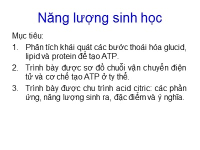 Bài giảng Năng lượng sinh học
