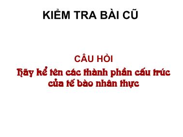 Bài giảng Sinh học 10 - Bài 17: Tế bào nhân thực (Tiếp theo)