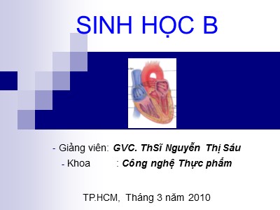 Bài giảng Sinh học B - Phần A, Chương IV: Hô hấp - Nguyễn Thị Sáu