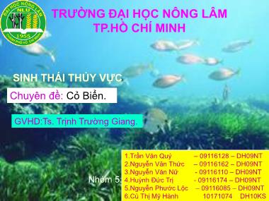 Bài giảng Sinh thái thủy vực - Chuyên đề: Cỏ Biển - Trịnh Trường Giang