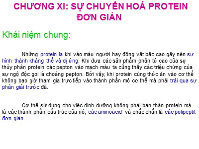Bài giảng Sự chuyển hoá protein đơn giản