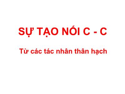 Bài giảng Sự tạo nối C - C: Từ các tác nhân thân hạch