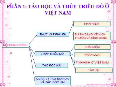 Bài giảng Tảo độc và thủy triều đỏ ở Việt Nam