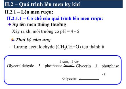 Bài giảng Vi sinh thực phẩm - Phạm Thị Lan Phương (Phần 3)