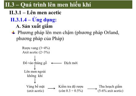 Bài giảng Vi sinh thực phẩm - Phạm Thị Lan Phương (Phần 6)