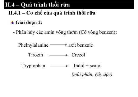 Bài giảng Vi sinh thực phẩm - Phạm Thị Lan Phương (Phần 7)